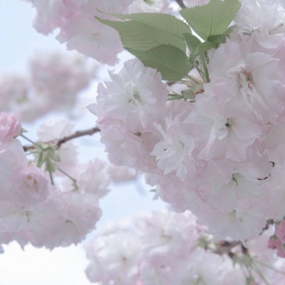 Furry绘画改稿思路兽圈社群